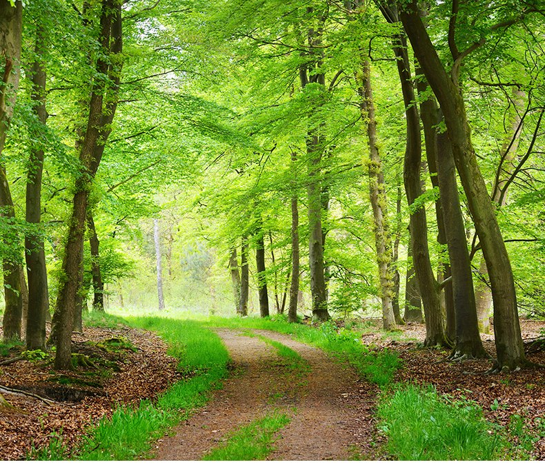 美國(guó)?？?_02_02